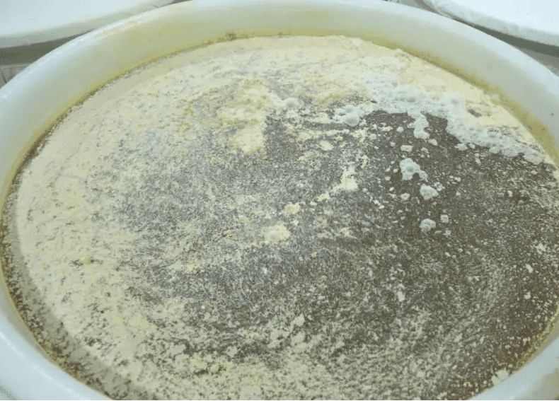 (圖:食品發(fā)酵起泡)