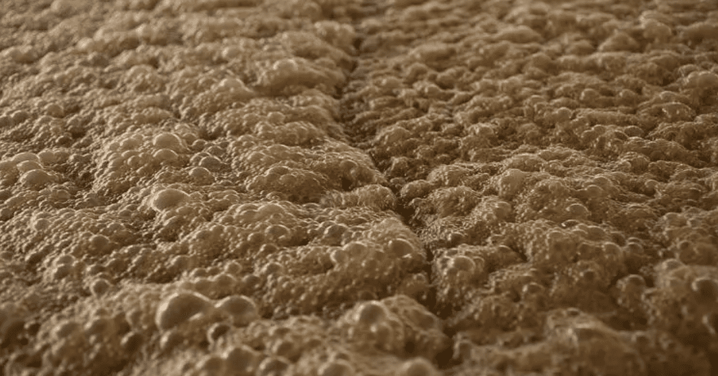 (圖:工業(yè)發(fā)酵泡沫)